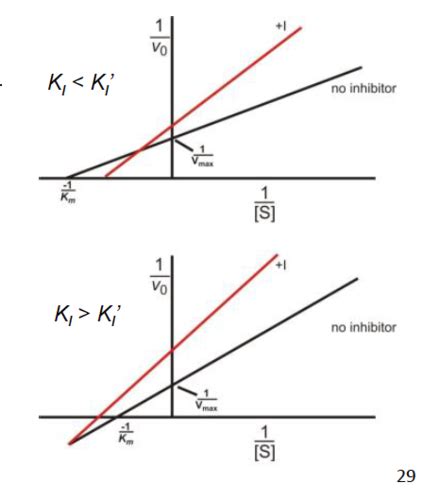 Enzyme Kinetics Ii Enzyme Inhibition Flashcards Quizlet