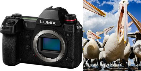 Review: Panasonic Lumix S1 - Australian Photography