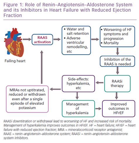 Role Of Reninangiotensinaldosterone System And Its Inhibitors In