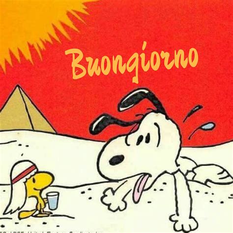 Buongiorno Caldo Snoopy Snoopy Cartoon Snoopy Love Snoopy And Woodstock