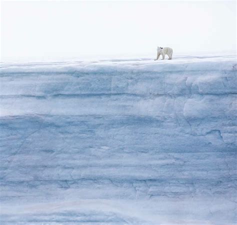 Svalbard Objectif Terre Du Nord Est Croisi Re Polaire