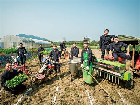 青農組生產合作社盼解決農業缺工痛點 機械化分工大幅提升效率 今周刊