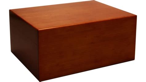 Pegasus Frosted Bamboo Humidor Brown 50 Free U S Shipping