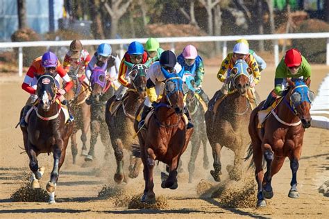 What Are The Different Types of Horse Racing?