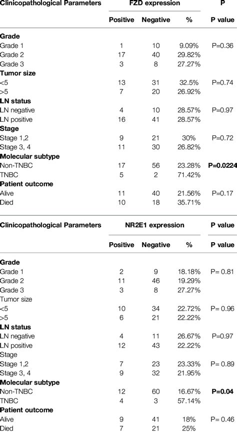 The Association Between Fzd9 And Nr2e1 Immunoreactivity In Different