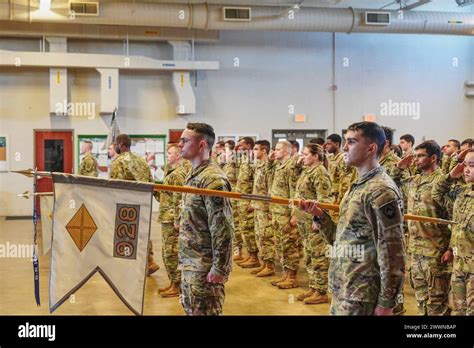 finance battalion  res stock photography  images alamy