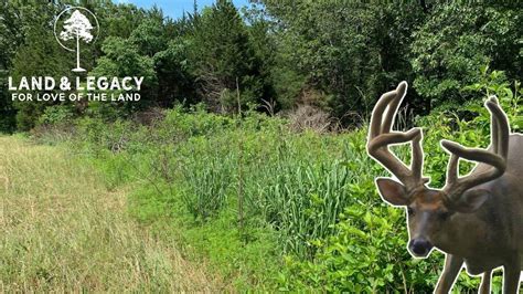 Habitat Management For Whitetails Edge Feathering Land And Legacy