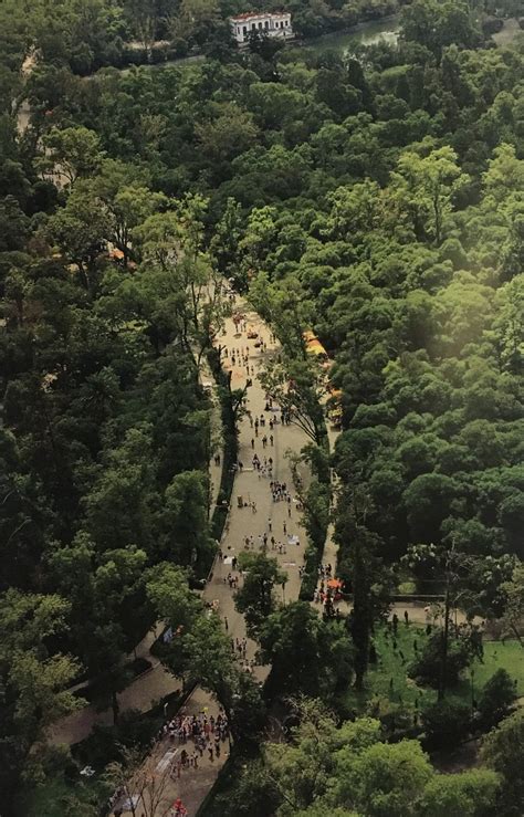 El Bosque De Chapultepec Un Poco De Historia Pro Bosque Chapultepec