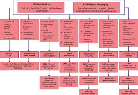 Differential Diagnosis Heart Failure