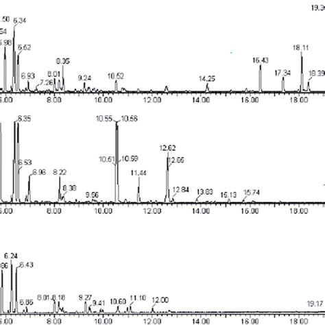 The Representative Base Peak Intensity Chromatograms Of The Rat Urine Download Scientific