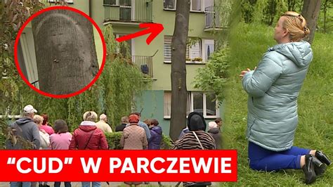 Cud w Parczewie Byliśmy na miejscu Jak w Fatimie i Medziugorie