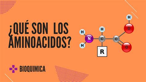 Generalidades estructura y características de los AMINOÁCIDOS