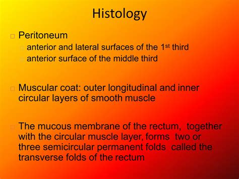 Rectum Anal Canal PPT