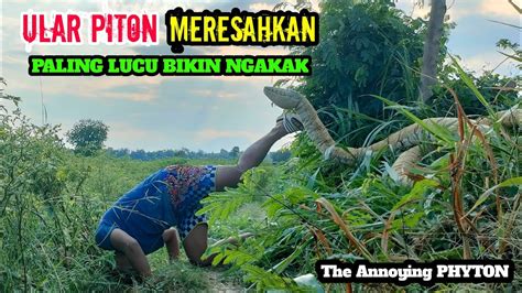 Video Lucu Prank Paling Meresahkan Ular Piton Bikin Ulah Super