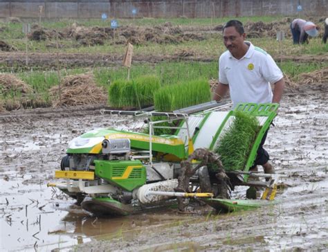 Mengengal Rice Transplanter Alat Tanam Padi Modern Bertanam