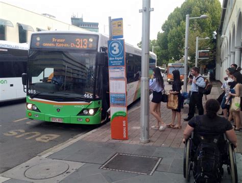 Limited Buses For Act Australasian Bus And Coach