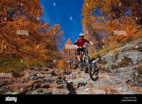 steep downhill mountain bike   trails  poschiavo valley canton
