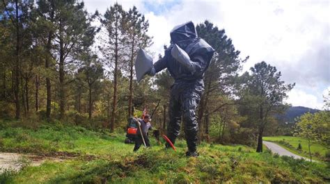 El Concello de Dumbría descubre la escultura del monstruo Vákner