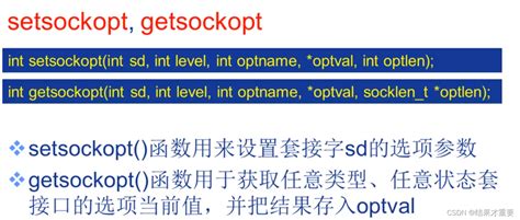 Socket编程 应用编程接口（api） 套接字（及其函数介绍）socket Api Csdn博客