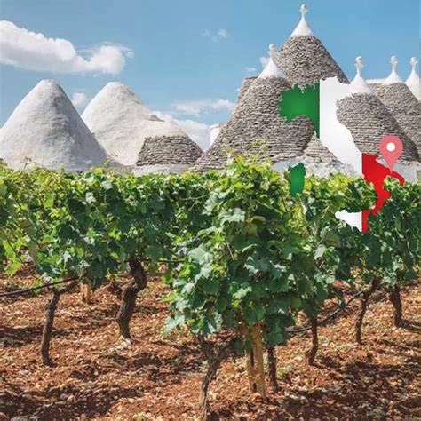 Wijnen Uit Puglia Rechtstreeks Bestellen Bij De Wijnboer Onwine