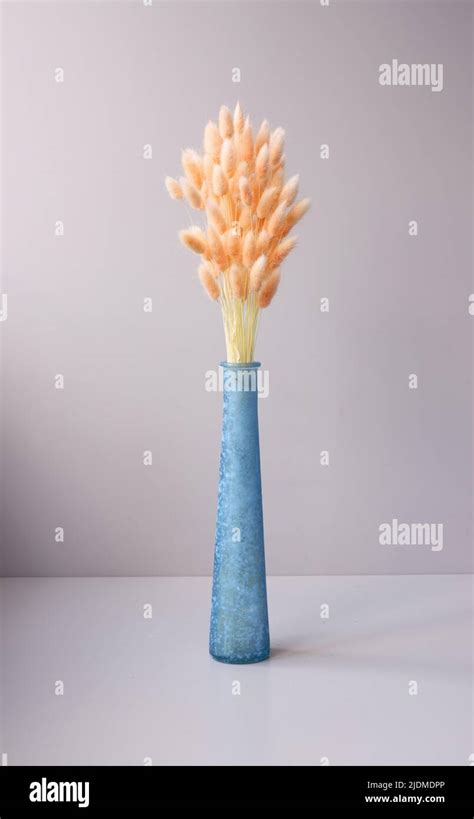 Willow Bouquet With Orange Pussy Willows In Blue Glass Vase Stock Photo Alamy