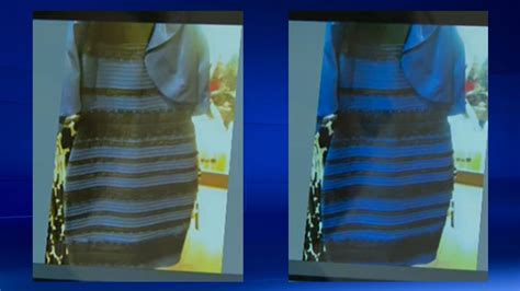 The Dress Debate Conclusion Perception Leads To Confusion Ctv