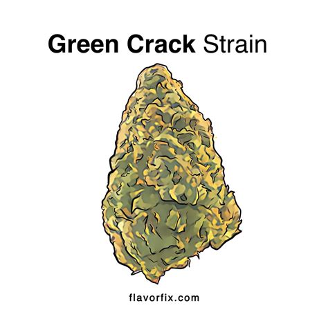 Green Crack Green Cush Strain Information Flavor Fix Flavor Fix