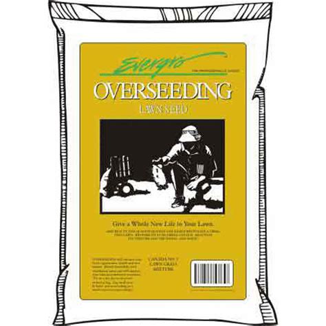 overseeding grass seed kg hydrofarm canada