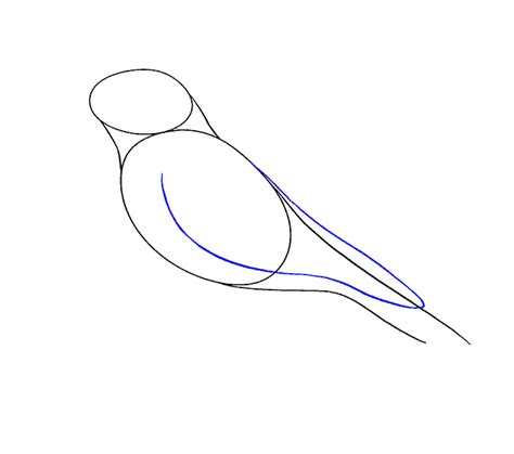 How to Draw a Raven | Step-by-Step Tutorial | Easy Drawing Guides