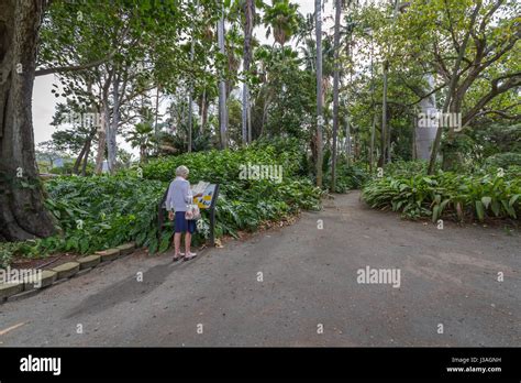 Honolulu Hawaii Feb 16 2017 Foster Botanical Gardens In Honolulu