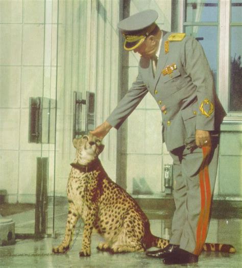 Josip Broz Tito, petting his Cheetah | Historical images, History memes ...