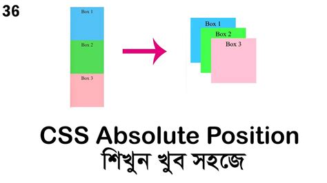 Css Absolute Position Css Position Css Bangla Tutorial Series