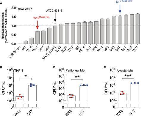 Frontiers Phagocytosis Is A Primary Determinant Of Pulmonary