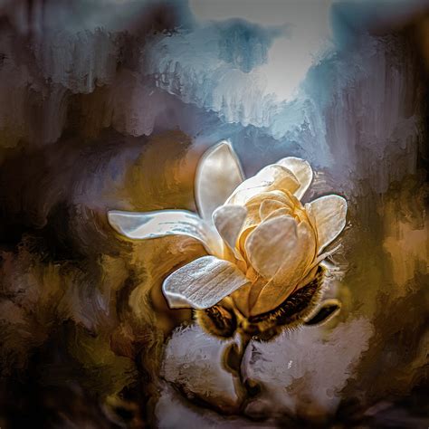 Magnolia White K9 Mixed Media By Leif Sohlman Fine Art America