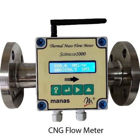 Stainless Steel Cng Flow Meter Gas Line Size Dn To Dn At Rs