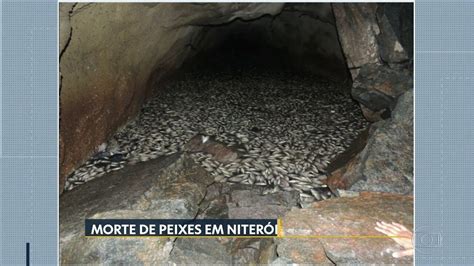 V Deo Mortandade De Peixes Na Lagoa De Piratininga Em Niteroi Bom