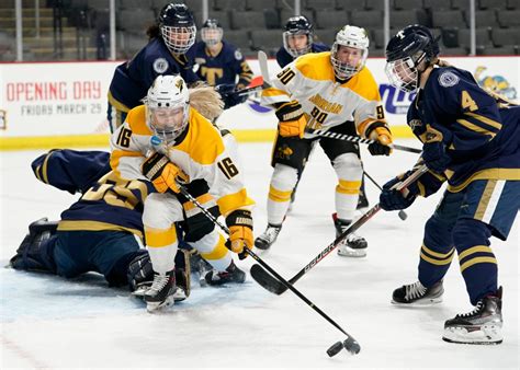 Adrian College men's and women's hockey play at the Huntington Center