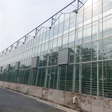 Glass Greenhouse - Industry News - News - Weifang Jianda Greenhouse ...