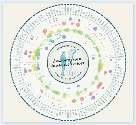 The 25 Best Data Visualizations Of 2018 Global Investigative Journalism Network