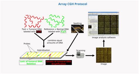 Array CHG In Clinical Practice Genosalut