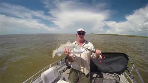 Mary River Shady Camp Barra Fishing Youtube