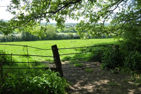 Bridleway Emerging From Woodland Philip Halling Cc By Sa 2 0