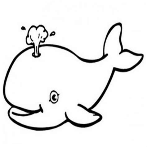 Download High Quality whale clipart black and white Transparent PNG ...