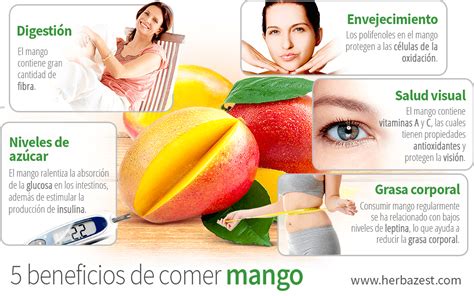 5 Beneficios De Comer Mango HerbaZest