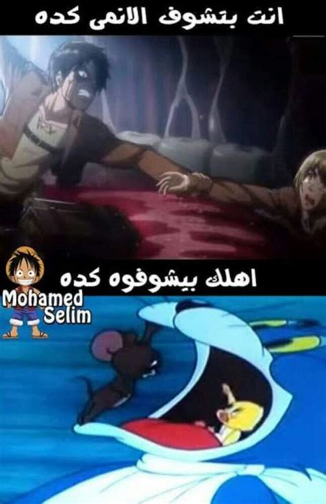 نكت انمي 😂😂😂 امبراطورية الأنمي Amino