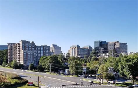 Reston's Fall Festivities: Events & Activities for the Season