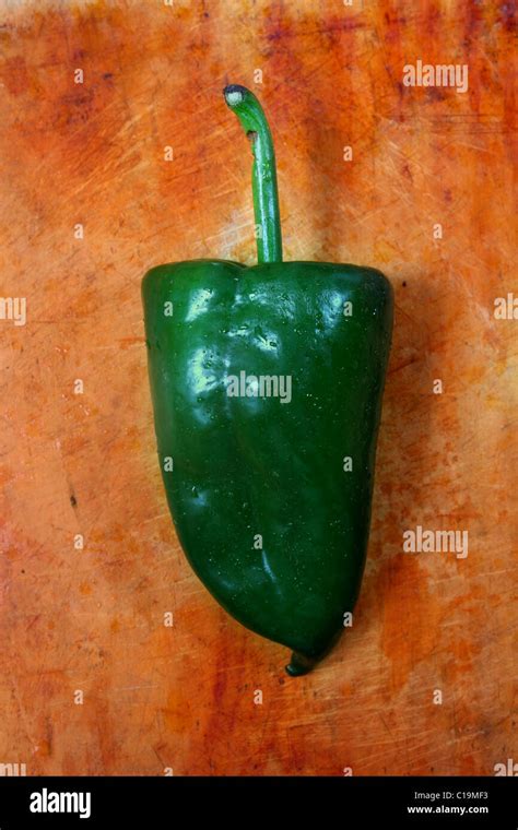 Poblano Chile Hi Res Stock Photography And Images Alamy