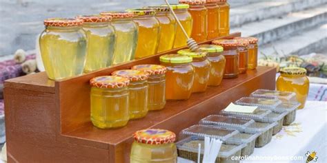 Honey Prices: Deciding What to Charge or Pay?- Carolina Honeybees