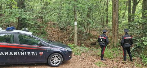 Blitz Contro Lo Spaccio Nei Boschi Tra Sesto Calende E Mercallo Banda