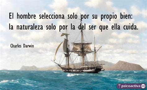 50 Frases De Charles Darwin Sobre La Evolución